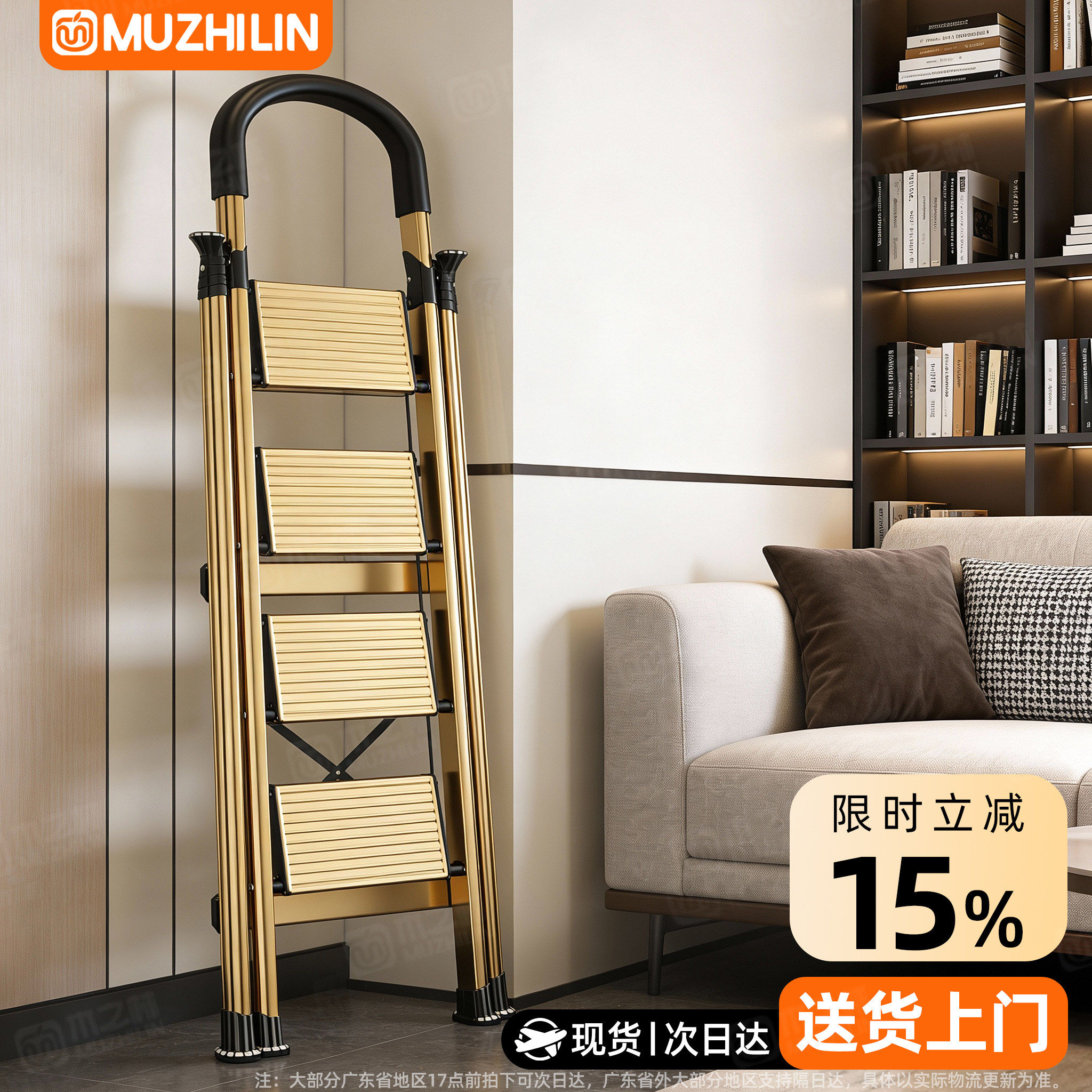 【德标品质HOT】3.0铁厚家用梯