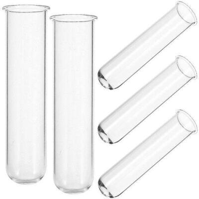 5 Pcs Test Tube Vase Clear Vases Planters for Indoor Plants