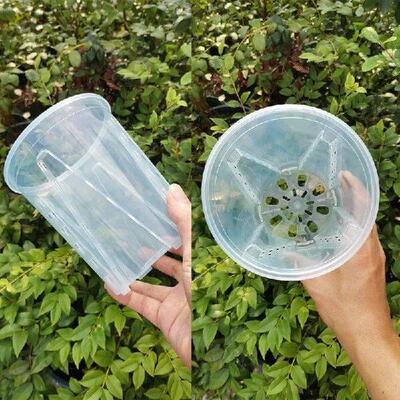 Plant Pot Transparent Nursery Pots Planting Nutrition Cup