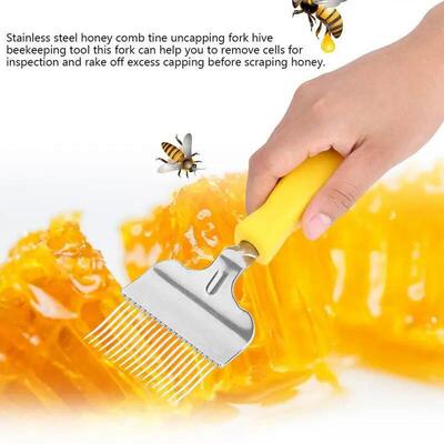 Honey Scraper Tool Stainless Steel Honey Scraper Shovel