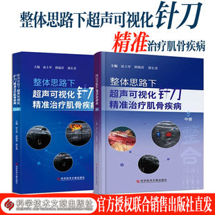 整体思路下超声可视化针刀精准治疗肌骨疾病上册中册 肌肉骨骼系统针刀疗法医学书籍中册视频版