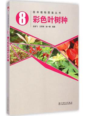 彩色叶树种