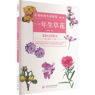 景观植物实用图鉴 第1辑 一年生草花