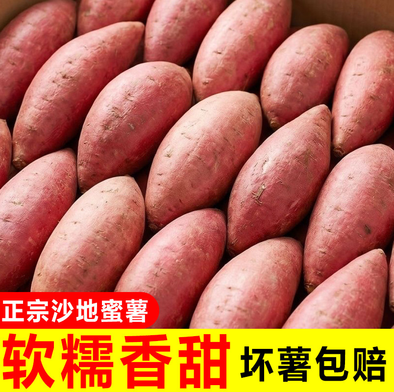 现挖沙地蜜薯软糯蜜薯红薯沙地新鲜番薯农家自种糖心板栗山芋地瓜