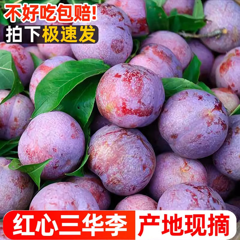 【现摘现发】广东三华李当季新鲜红心李子农家时令酸脆水果批发