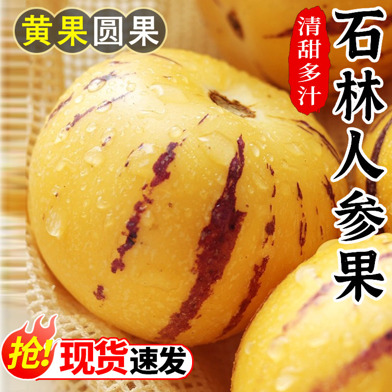 云南石林人参果5斤黄果新鲜人叁果水果七彩黄肉圆果人生果包邮5