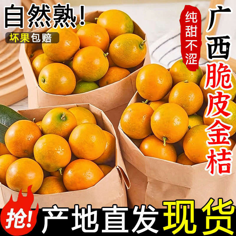 广西融安小金桔10斤桔子应当季现摘新鲜水果脆皮蜜金柑整箱包邮