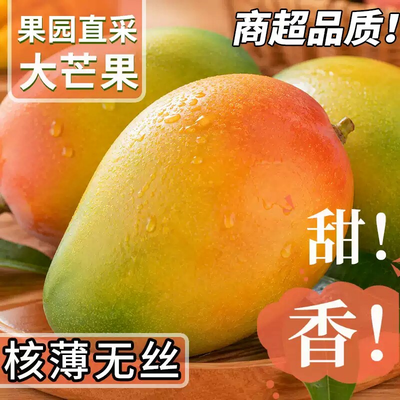 四川攀枝花凯特芒果新鲜水果5斤当季整箱包邮特大10青忙时令芒果