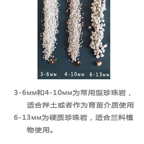 园艺珍珠岩养花用基质多肉营养土育苗扦插无土栽培颗粒保透气介质