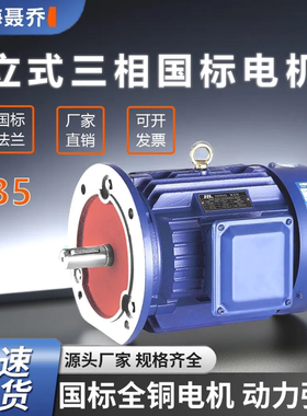 立式电动机三相国标铜线B5法兰YE3/0.75/1.5/4/5.5/7.5KW电机380V