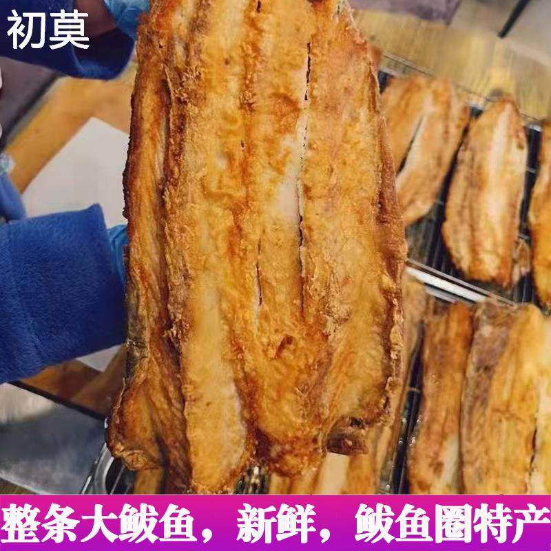 香煎大鲅鱼鲅鱼圈特产即食零食烤鱼海鲜熟食即食零食真空包装