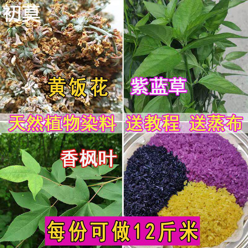 广西五色糯米饭植物染料枫香叶红蓝草三月三清明节黄饭花黑橙紫黄