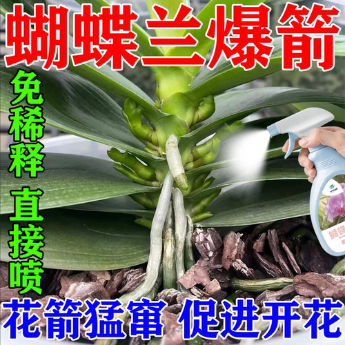 蝴蝶兰营养液促生根催花剑防黄叶烂叶开花肥料兰花多箭免稀释