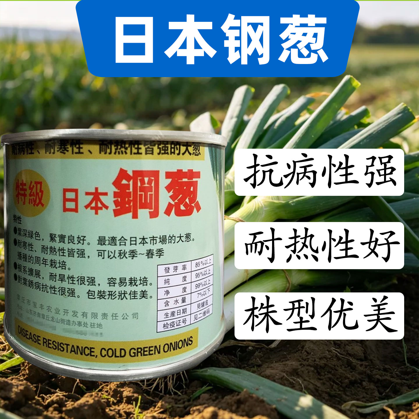 特级日本钢葱种子耐寒耐热抗逆性抗病抗寒高产抗倒伏大田大葱用种