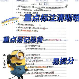 新高考政治手写彩色复习资料笔记政治知识点总结复习笔记本