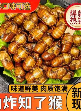 100只炸金蝉油炸知了猴新鲜正宗山东金蝉野生爬叉猴香辣椒盐即食