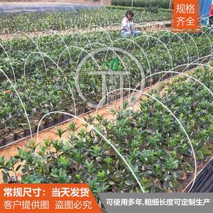 高弹力拱棚大小支架菜棚保温棚花棚玻纤杆农用拱竿骨架玻璃钢实心