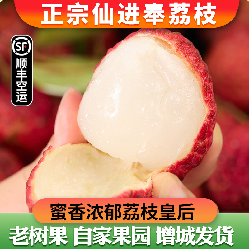 【锋荔】正宗仙进奉荔枝农家荔枝糯米桂糍味老树原产地顺丰空运