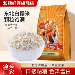 溢田东北圆糯米白糯米黏米圆粒糯米包粽子专用白江米糍粑杂粮农家