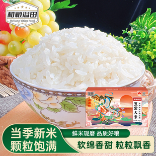 五常大米19266新米10斤东北大米粥米黑龙江农家长粒香米一级鲜米