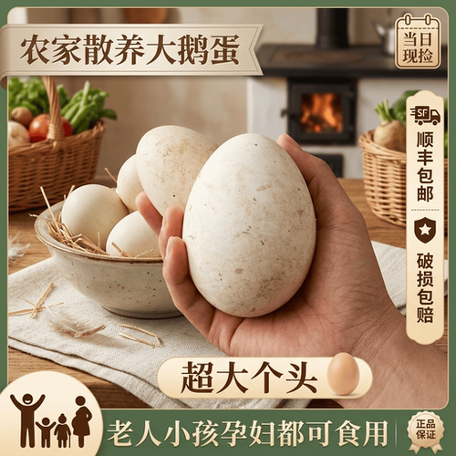 假一赔十】12枚新鲜超大生鹅蛋220-260克双黄正宗土鹅蛋农家散养