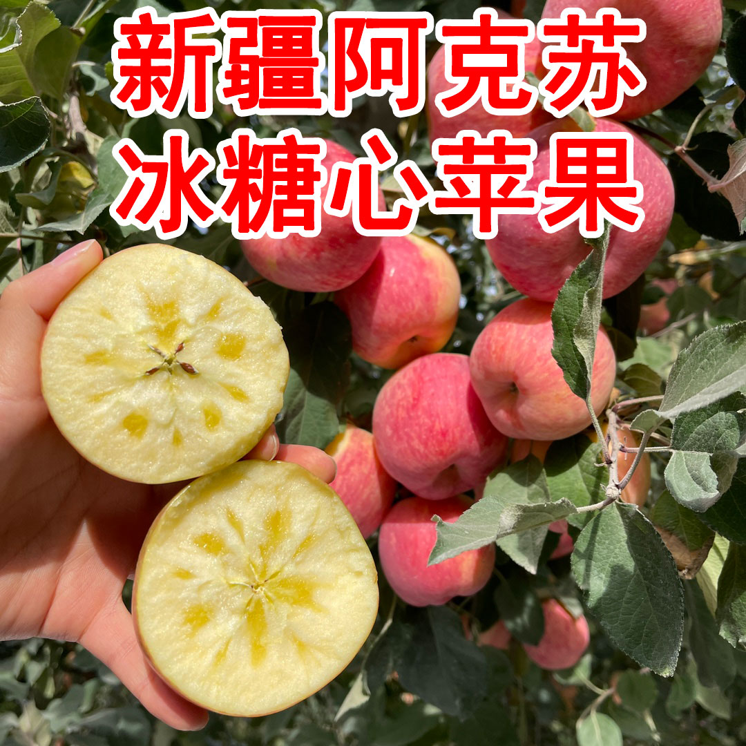 2025新疆阿克苏苹果冰糖心脆甜红富士红旗坡当季新鲜水果