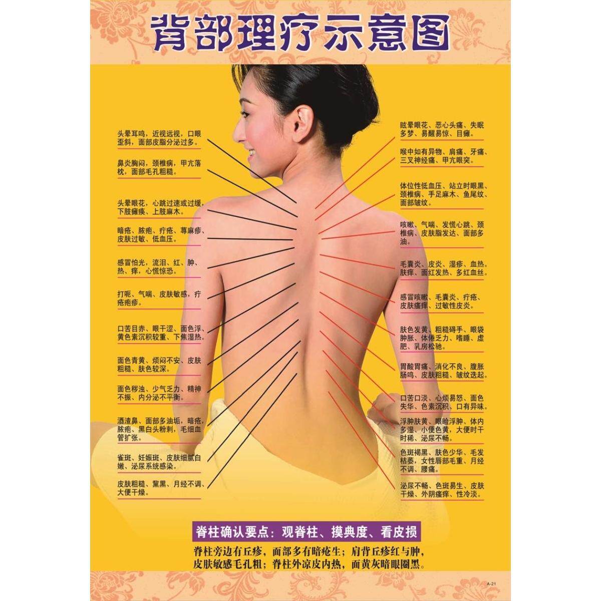 背部理疗示意图墙贴纸美容院养生馆背部刮痧示意图好处经络图海报