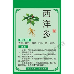 中草药功效海报中药材贴纸挂图人参宣传画鹿茸虫草三七滋补品好处