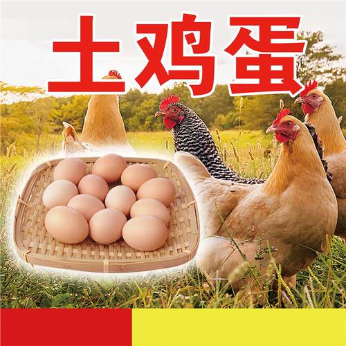 农家土鸡蛋店海报广告贴贴画墙面装饰散养土鸡自粘背胶贴纸壁纸
