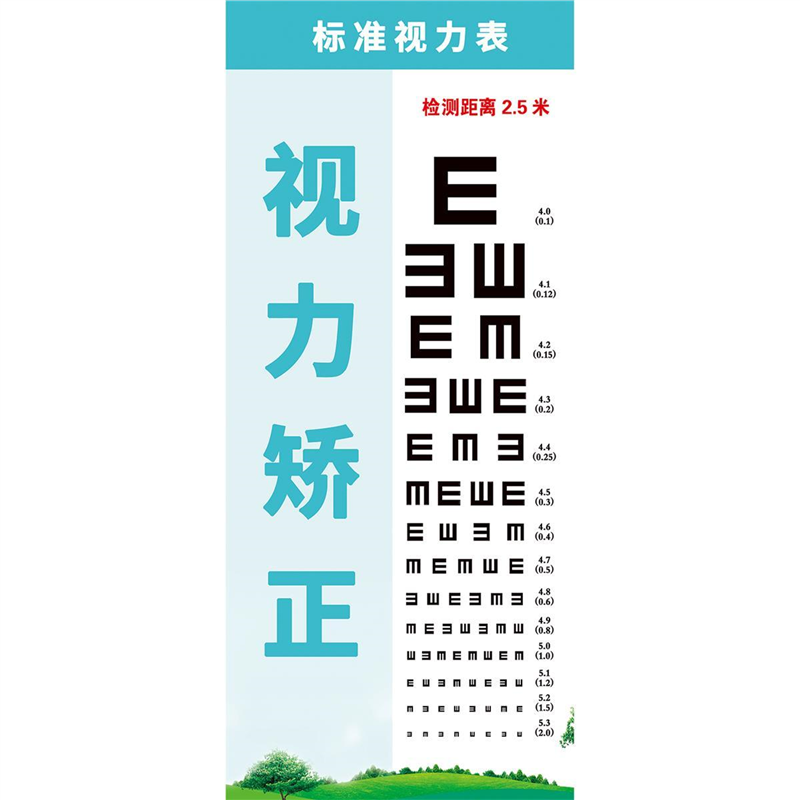 视力表国际标准儿童家用E字卡通测近视眼对数成人视力测试表挂图