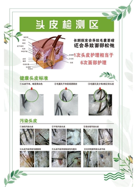 头皮毛囊分析对比图海报展板头皮理疗常见头皮归类毛囊细胞海报