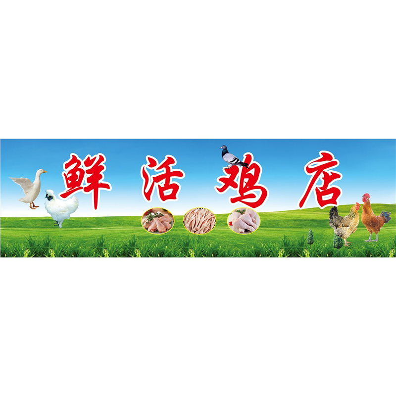 鸡鸭现杀广告海报贴纸出售各种鸡鸭鹅鸽子等家禽走地鸡广告自粘