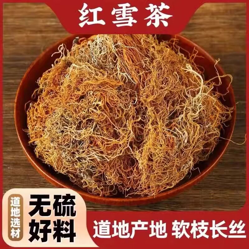 金丝红雪茶西藏4000米高海拔龙雪山野生雪域仙草自然生长红雪茶