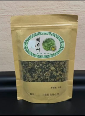 山东明日叶不老草长寿草含查尔酮维生素B12百年传承日照明日叶茶