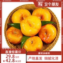 甜蜜桃扁桃彩虹潘桃 黃金蟠桃新鮮水果桃子水蜜桃當(dāng)季 交個(gè)朋友