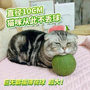 超大号猫薄荷球猫玩具巨型虫瘿果玩具球自嗨解闷神器猫咪用品大全