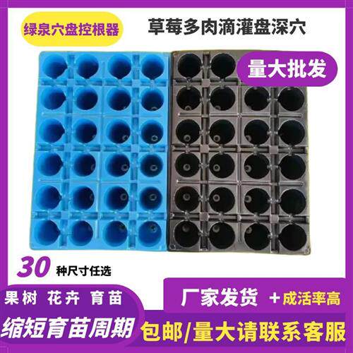 草莓多肉滴灌盘深穴保温育苗圆孔彩色心形育苗盘草莓专用加厚大号