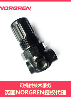 R07-200-NNKA NNKB NNKG ENKA NORGREN 诺冠 管接式调压阀