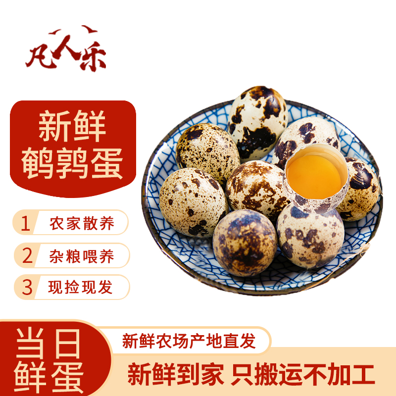 凡人乐50枚生鹌鹑蛋农家土特产杂粮喂养孕妇宝宝小鸟蛋农家自产