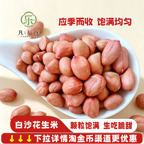 凡人乐2026新鲜花生米晾干新货粉皮手工剥壳散装花生仁榨油大白沙
