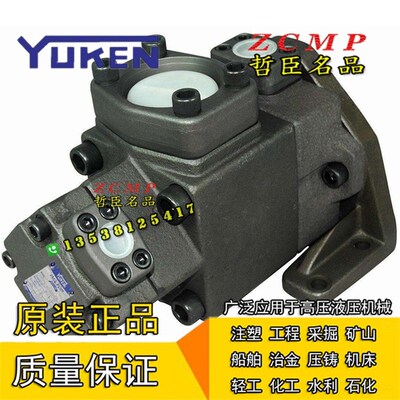 PV2R24-26/33/41/47/53/5t9/65-136/153/184-L/F-RAAA/RAAB-31/40