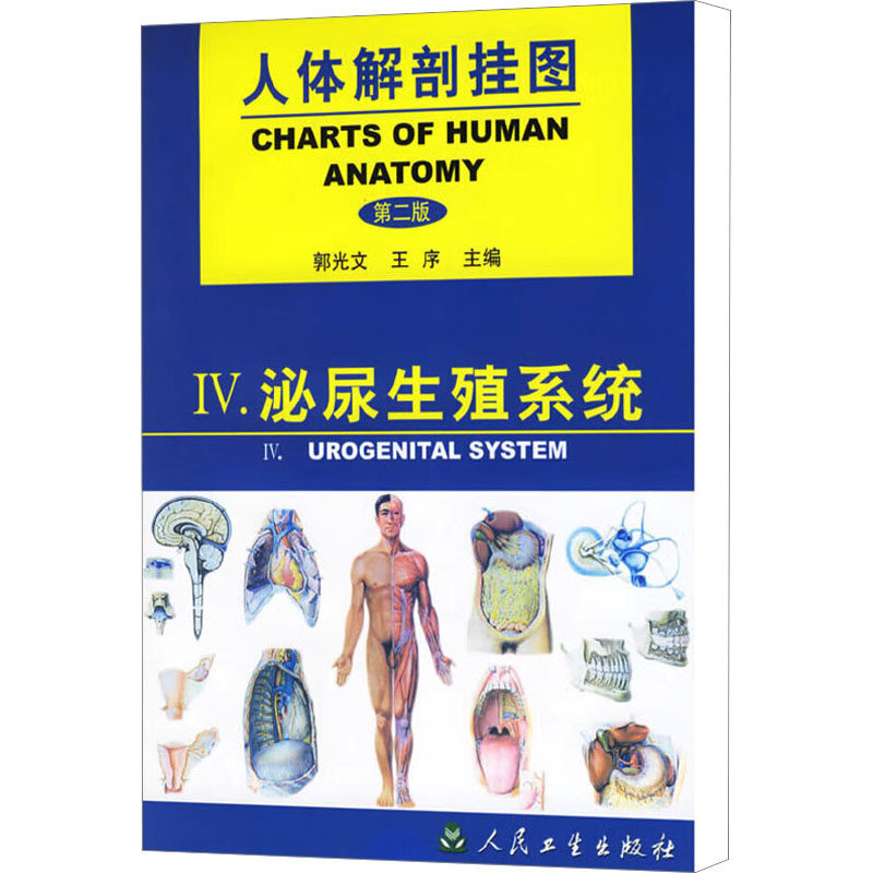人体解剖挂图 4 泌尿生殖系统 第2版郭光文,王序 编人民卫生出版社9787117038058