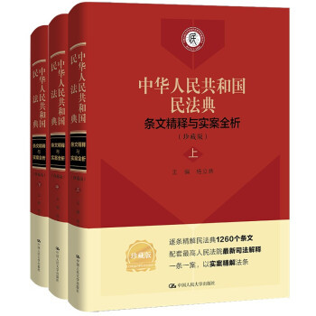 中华人民共和国民法典条文精释与实案全析主编杨立新中国人民大学出版社9787300294162