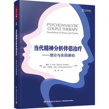 当代精神分析伴侣治疗——理论与实践基础［美］戴维·E. 沙夫（David E. Scharff），吉尔·萨维奇·沙夫（Jill Savege Scharff）