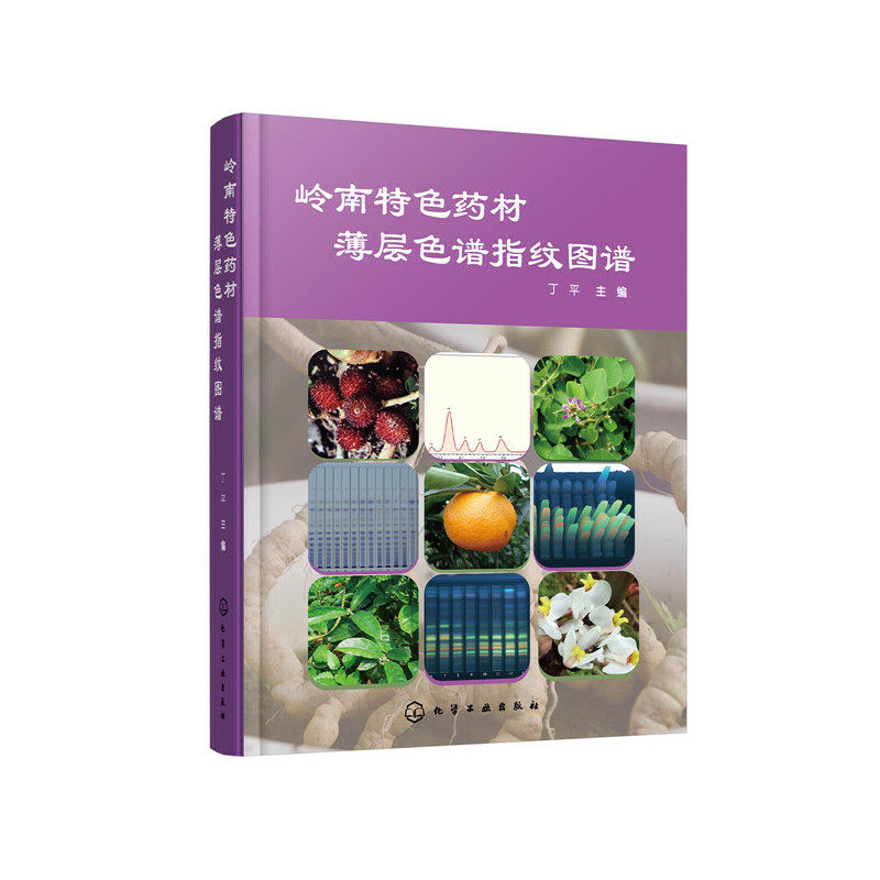 岭南特色药材薄层色谱指纹图谱丁平 主编化学工业出版社9787122368201 - 实物图