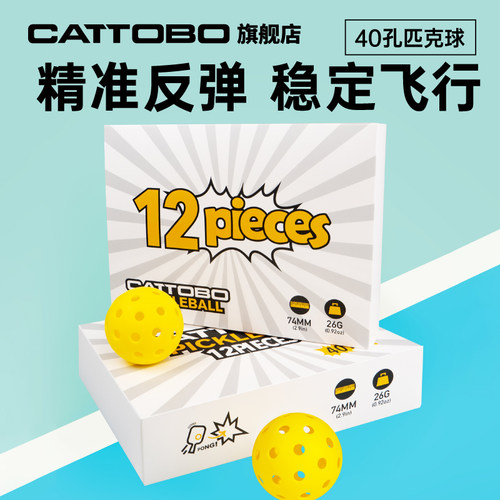 CATTOBO网球专业用球耐打耐磨