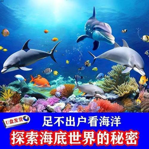 海底世界纪录片U盘海洋生物百科海底探索动物世界高清MP4视频优盘