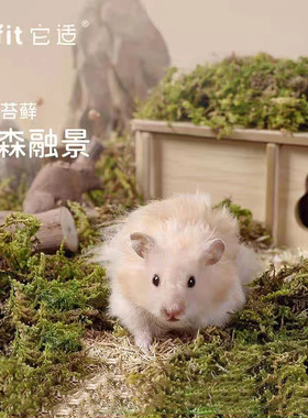 Tafit它适青森苔藓仓鼠金丝熊垫料小宠笼子造景用品筑巢挖掘垫料