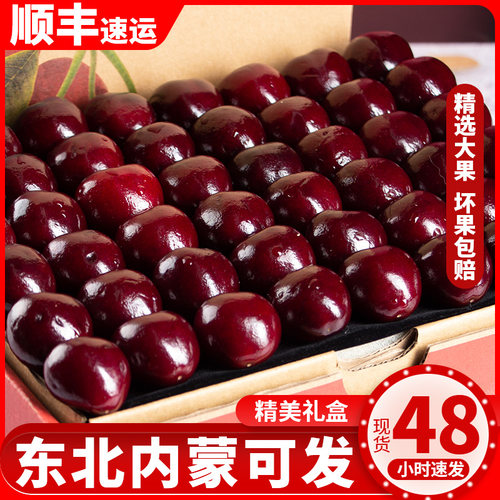 Santina车厘子新鲜水果樱桃送礼