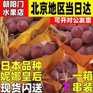 日本品种妮娜皇后红晴王葡萄原箱3斤稀有水果礼盒无籽红提